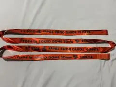 TOP4 in TOKYO DOME 2Days 銀テープ 赤 — image 1