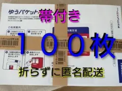 ゆうパケットポストmini専用封筒　100枚 — image 1