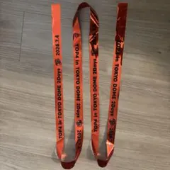 TOP4 東京ドーム 銀テ フル キヨ 赤③ — image 1