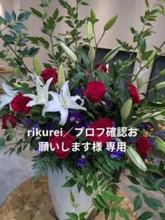 rikurei／プロフ確認お願いします様 専用 — image 1