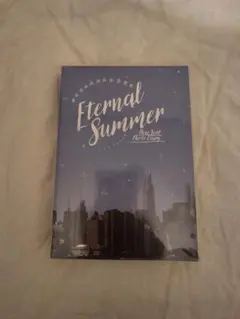 Eternal Summer New York Photo Diary — image 1