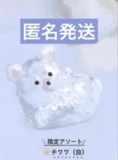うちの子のけだまだま　犬　チワワ（白）　シープラ 限定 — image 1