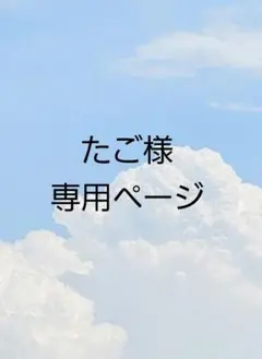 たご様専用ページ — image 1