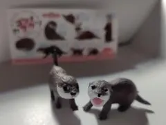 コツメカワウソ カプセルトイ 2個セット — image 1
