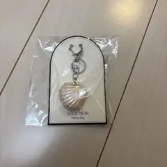 After blow Shell Key Ring — image 1