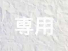 専用 — image 1
