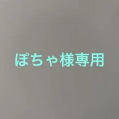ぽちゃ様専用 — image 1