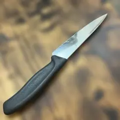 【VICTORINOX 】ペティナイフ — image 1