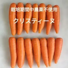 ★栽培期間中農薬不使用★ 人参 クリスティーヌ — image 1