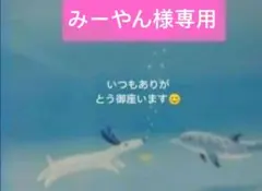 みーやん様専用 — image 1