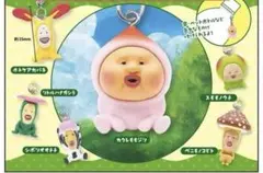 【最安値・新品】　こびとづかん　めじるしアクセサリー — image 1
