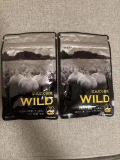やずや にんにく卵黄 WILD 31日分 2袋セット【24時間以内発送】 — image 1