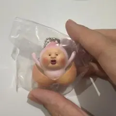 こびとづかん カクレモモジリコレクション — image 1
