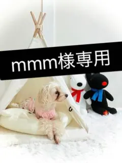mmm様専用 — image 1