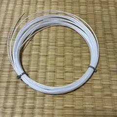 プロズプロ　インテンスヒート　125 12m — image 1