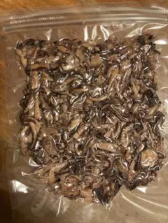 ラスト！酒の肴に⭐︎ゲソ燻製 200g いか燻製品　未開封 — image 1