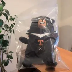 【非売品】台湾 OhBear 2way ぬいぐるみ ネックピロー — image 1
