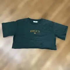 WEGO EHRLICH刺繍 Tシャツ S ダークグリーン【WEGO】 — image 1