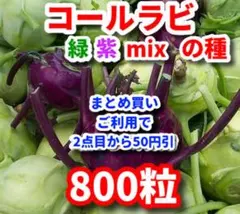 コールラビ緑紫mixの種【800粒】⭕️ — image 1