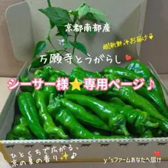 シーサー様⭐️②専用ページ♪♪ — image 1