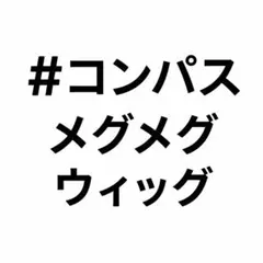コンパス メグメグ ウィッグ — image 1