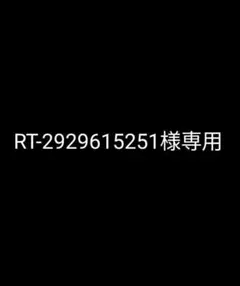 RT-2929615251様専用 — image 1