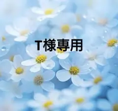 H242　ガーデンクォーツ　約7ミリ — image 1