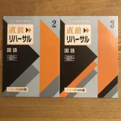 進研ゼミ高校講座　直前リハーサル　国語　2次・個別試験対策　早慶上智/難関私大 — image 1