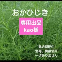 専用出品 kao様 — image 1