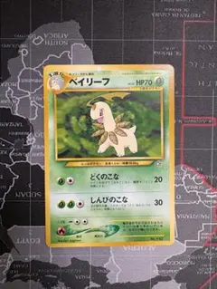 ベイリーフ 旧裏面　マークなし — image 1