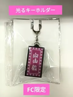 SHOW-WA☆向山毅☆キーホルダー — image 1