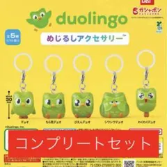 Duolingo めじるしアクセサリー 全5種 コンプリートセット — image 1