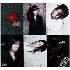 希少【Acid Black Cherry】Q.E.D.ポストカード — image 1