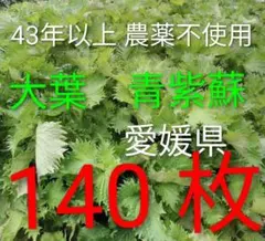 大葉 140枚 シソ 青じそ 野菜 43年以上 農薬不使用 リピ増 No.33 — image 1