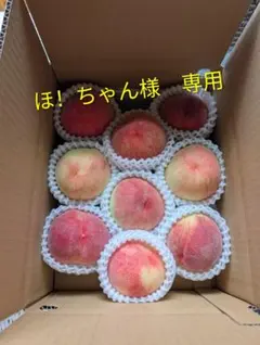 ほ！ちゃん様　専用 — image 1