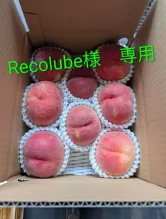 Recolube様　専用！ — image 1