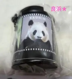 アドベンチャーワールド　パンダ　良浜★　コインシリンダー — image 1