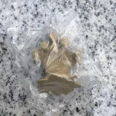 ドラクエ　まちぼうけ　マドハンド — image 1