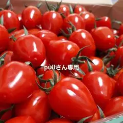 ミニトマト — image 1