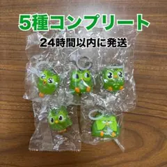 デュオリンゴ Duolingo めじるしアクセサリー コンプリート　新品 — image 1