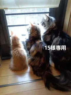 15様専用です♪︎お取り置き — image 1