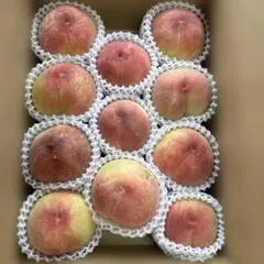 福島の桃 — image 1