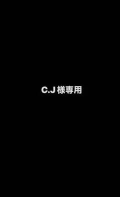 비행운　※C.J様専用 — image 1