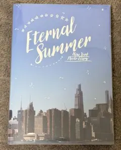 Eternal Summer New York Photo Diary — image 1