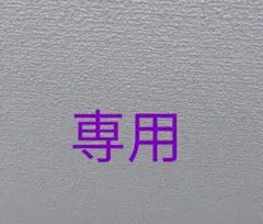 はる様専用　シューズ用品　2枚組　色指定 — image 1
