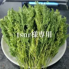 tsnr様専用です♪【同梱お値引き済み】 — image 1