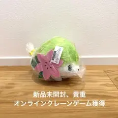 【新品未開封】ポケットモンスター ぬいぐるみ シェイミ — image 1