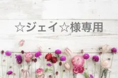 ☆ジェイ☆様専用 — image 1