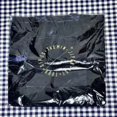 【新品未開封】テミン SHINee SIRIUS ベロアバッグ トート — image 1