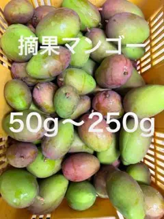 智美様専用 — image 1